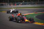 Foto zur News: Daniel Ricciardo (Red Bull) und Sergei Sirotkin (Williams)