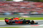 Foto zur News: Daniel Ricciardo (Red Bull)