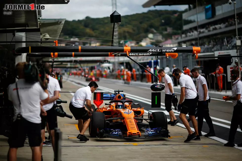 Foto zur News: Lando Norris