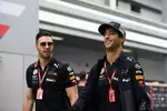 Foto zur News: Daniel Ricciardo (Red Bull)