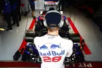 Foto zur News: Brendon Hartley (Toro Rosso)