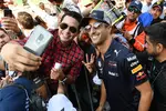 Foto zur News: Daniel Ricciardo (Red Bull)