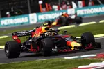 Foto zur News: Max Verstappen (Red Bull) und Daniel Ricciardo (Red Bull)