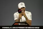 Foto zur News: Lewis Hamilton (Mercedes)