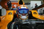 Foto zur News: Lando Norris