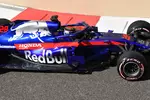 Foto zur News: Brendon Hartley (Toro Rosso)