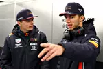 Foto zur News: Pierre Gasly und Max Verstappen