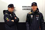 Foto zur News: Pierre Gasly und Max Verstappen