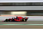 Foto zur News: Max Verstappen