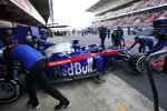 Foto zur News: Daniil Kwjat (Toro Rosso)