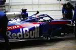 Foto zur News: Daniil Kwjat (Toro Rosso)