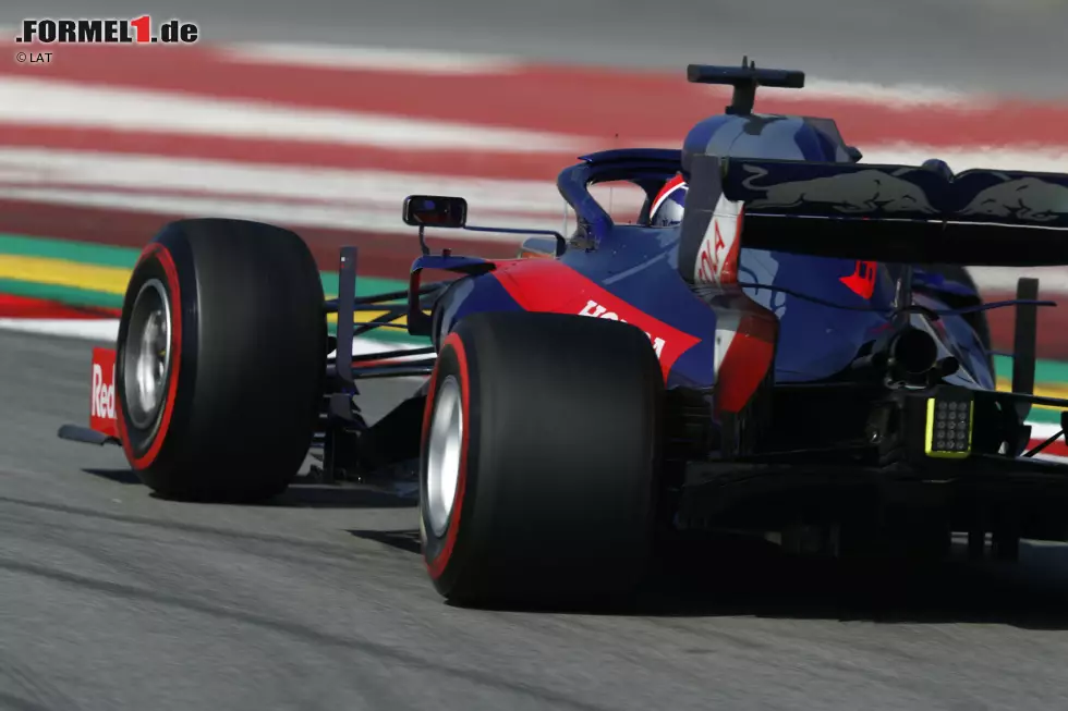 Foto zur News: Daniil Kwjat (Toro Rosso)