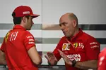 Foto zur News: Charles Leclerc (Ferrari) und Jock Clear