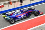 Foto zur News: Daniil Kwjat (Toro Rosso)