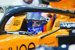 Foto zur News: Carlos Sainz (McLaren)