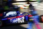 Foto zur News: Daniil Kwjat (Toro Rosso)