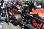 Gallerie: Pierre Gasly (Red Bull)