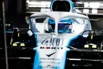 Foto zur News: Nicholas Latifi