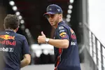 Foto zur News: Pierre Gasly (Red Bull)