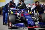 Foto zur News: Alexander Albon (Toro Rosso)