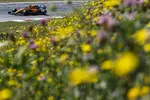 Foto zur News: Carlos Sainz (McLaren)