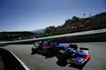 Foto zur News: Alexander Albon (Toro Rosso)