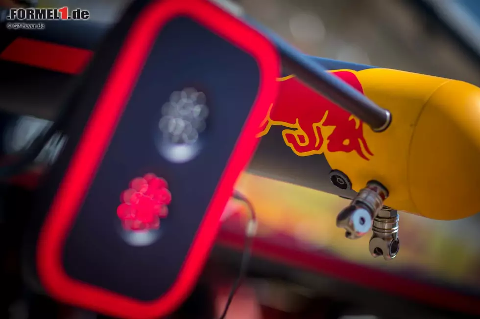 Foto zur News: Red Bull