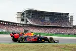 Foto zur News: Pierre Gasly (Red Bull)