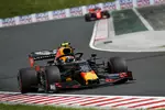 Foto zur News: Pierre Gasly (Red Bull)