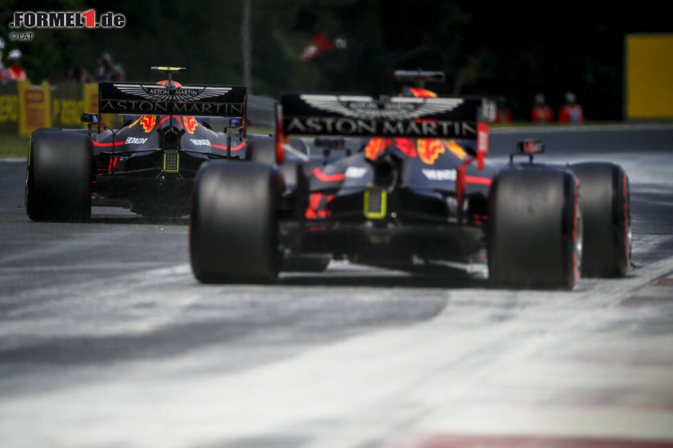 Foto zur News: Pierre Gasly (Red Bull) und Max Verstappen (Red Bull)