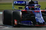 Foto zur News: Daniil Kwjat (Toro Rosso)