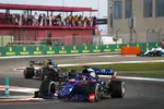 Foto zur News: Daniil Kwjat (Toro Rosso)