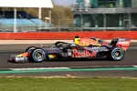 Foto zur News: Max Verstappen (Red Bull)