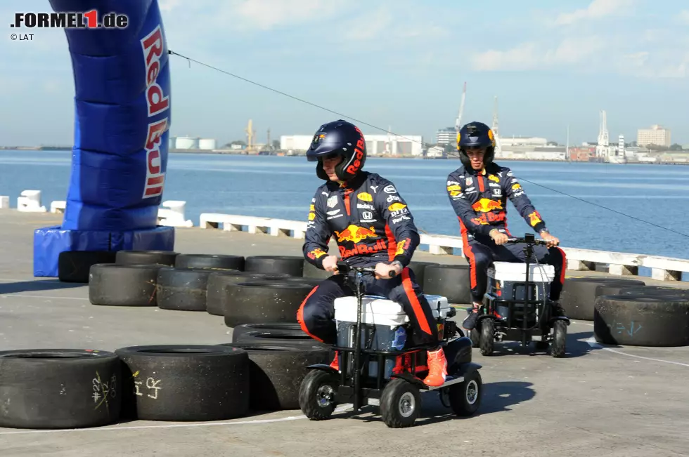 Foto zur News: Max Verstappen (Red Bull) und Alexander Albon (Red Bull)