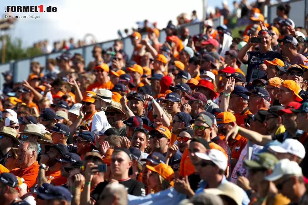 Foto zur News: Fans von Max Verstappen (Red Bull)