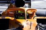 Foto zur News: Lando Norris (McLaren)