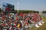 Foto zur News: Fans in Monza