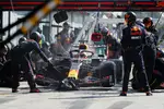 Foto zur News: Max Verstappen (Red Bull)