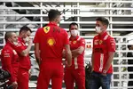 Foto zur News: Charles Leclerc (Ferrari)