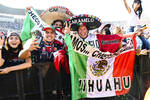 Sergio Perez (Red Bull) 
