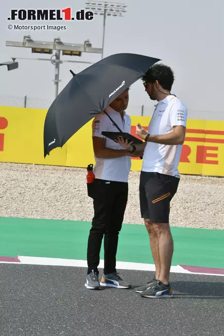 Foto zur News: Lando Norris (McLaren)