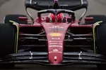 Gallerie: Charles Leclerc (Ferrari)