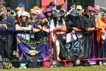 Foto zur News: Fans in Silverstone