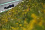 Foto zur News: Alexander Albon (Williams)