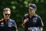 Foto zur News: Christian Horner und Adrian Newey