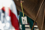 Foto zur News: Fahrerlager-Pass eines Pferdes