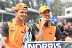 Foto zur News: Lando Norris (McLaren) und Daniel Ricciardo (McLaren)