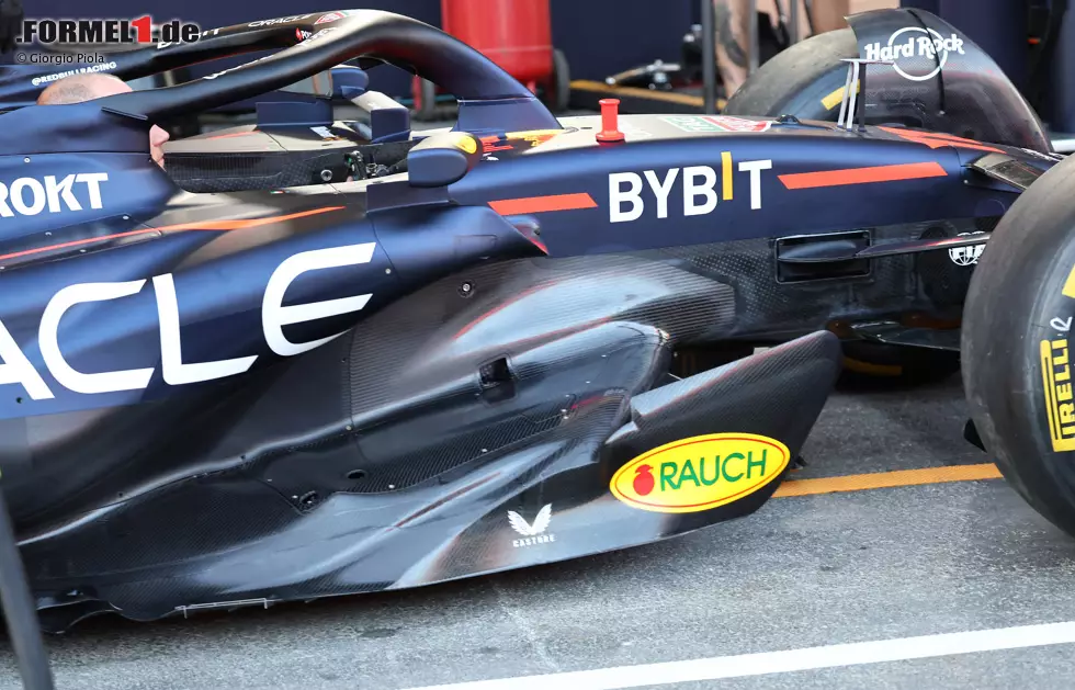 Foto zur News: Red Bull RB19