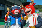 Foto zur News: Maskottchen am Red-Bull-Ring