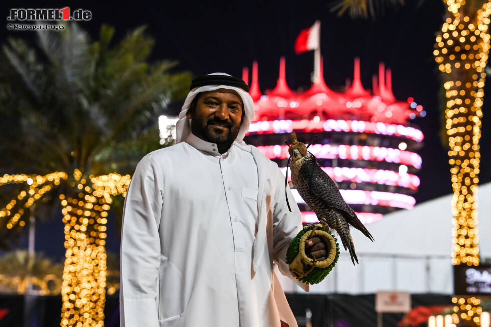 Foto zur News: Bahraini mit Jagdvogel